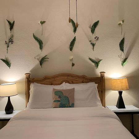 The Lodge At Cypress Falls Wimberley Εξωτερικό φωτογραφία